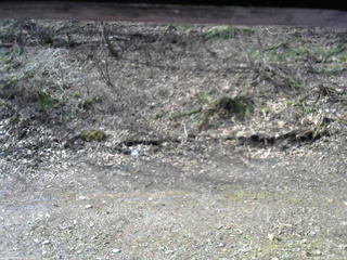 長野県菅平高原 ゆたか山荘 東側(坂下) 2026/04/18 08:00