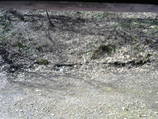 長野県菅平高原 ゆたか山荘 東側(坂下) 2026/04/18 08:15