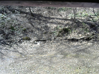 長野県菅平高原 ゆたか山荘 東側(坂下) 2026/04/18 08:45