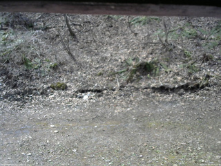 長野県菅平高原 ゆたか山荘 東側(坂下) 2026/04/18 09:30