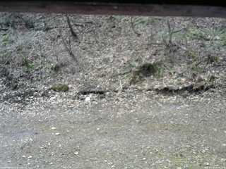 長野県菅平高原 ゆたか山荘 東側(坂下) 2026/04/18 09:45