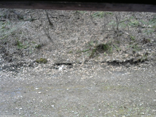 長野県菅平高原 ゆたか山荘 東側(坂下) 2026/04/18 10:00