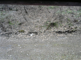 長野県菅平高原 ゆたか山荘 東側(坂下) 2026/04/18 10:15