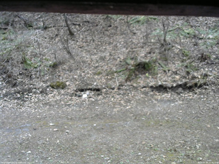 長野県菅平高原 ゆたか山荘 東側(坂下) 2026/04/18 11:30