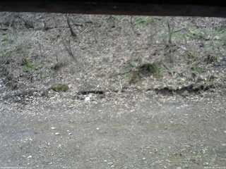 長野県菅平高原 ゆたか山荘 東側(坂下) 2026/04/18 12:00