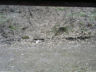 長野県菅平高原 ゆたか山荘 東側(坂下) 2026/04/18 13:15