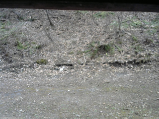 長野県菅平高原 ゆたか山荘 東側(坂下) 2026/04/18 14:15