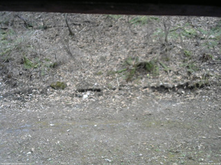 長野県菅平高原 ゆたか山荘 東側(坂下) 2026/04/18 14:30