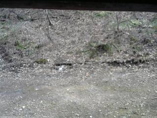 長野県菅平高原 ゆたか山荘 東側(坂下) 2026/04/18 15:15