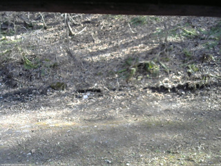 長野県菅平高原 ゆたか山荘 東側(坂下) 2026/04/18 15:30