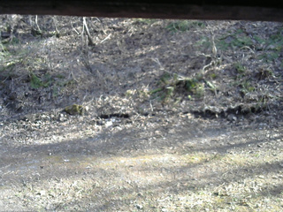 長野県菅平高原 ゆたか山荘 東側(坂下) 2026/04/18 15:45