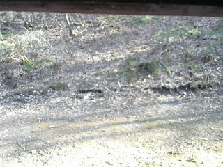 長野県菅平高原 ゆたか山荘 東側(坂下) 2026/04/18 16:00