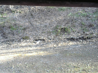 長野県菅平高原 ゆたか山荘 東側(坂下) 2026/04/18 16:15