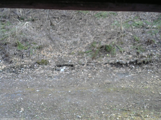 長野県菅平高原 ゆたか山荘 東側(坂下) 2026/04/18 16:30