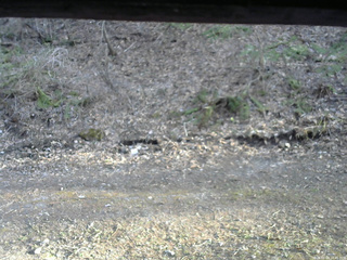 長野県菅平高原 ゆたか山荘 東側(坂下) 2026/04/18 16:45