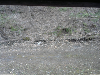 長野県菅平高原 ゆたか山荘 東側(坂下) 2026/04/18 17:00