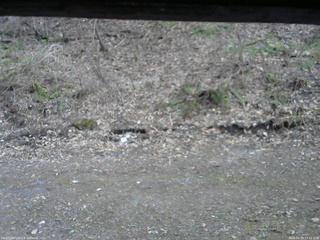 長野県菅平高原 ゆたか山荘 東側(坂下) 2026/04/18 17:15