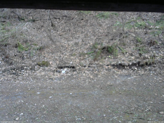 長野県菅平高原 ゆたか山荘 東側(坂下) 2026/04/18 17:30