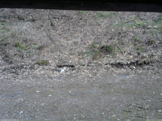 長野県菅平高原 ゆたか山荘 東側(坂下) 2026/04/18 17:45