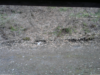 長野県菅平高原 ゆたか山荘 東側(坂下) 2026/04/18 18:00