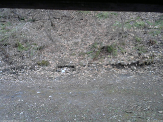 長野県菅平高原 ゆたか山荘 東側(坂下) 2026/04/18 18:15