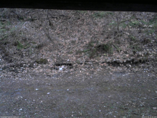 長野県菅平高原 ゆたか山荘 東側(坂下) 2026/04/18 18:30