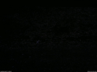 長野県菅平高原 ゆたか山荘 東側(坂下) 2026/04/18 18:45