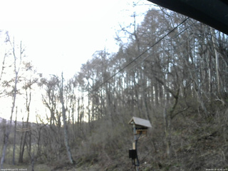 長野県菅平高原 ゆたか山荘 温度計 2026/04/18 05:45