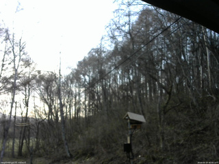 長野県菅平高原 ゆたか山荘 温度計 2026/04/18 06:00