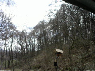 長野県菅平高原 ゆたか山荘 温度計 2026/04/18 09:45