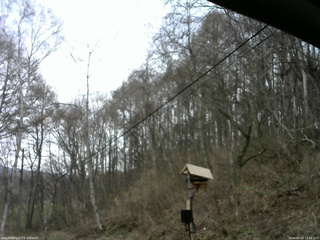 長野県菅平高原 ゆたか山荘 温度計 2026/04/18 12:30