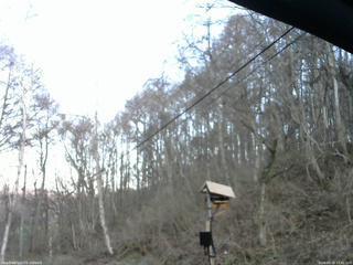 長野県菅平高原 ゆたか山荘 温度計 2026/04/18 17:45