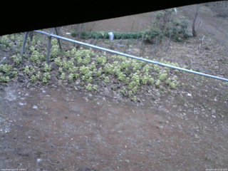 長野県菅平高原 ゆたか山荘 駐車場 2026/04/18 05:15