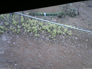 長野県菅平高原 ゆたか山荘 駐車場 2026/04/18 05:30