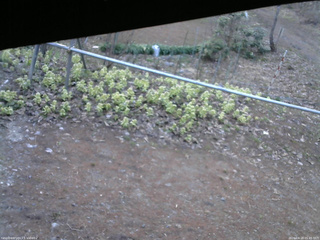 長野県菅平高原 ゆたか山荘 駐車場 2026/04/18 05:45