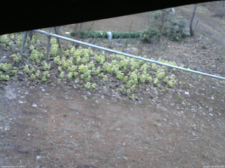 長野県菅平高原 ゆたか山荘 駐車場 2026/04/18 06:00