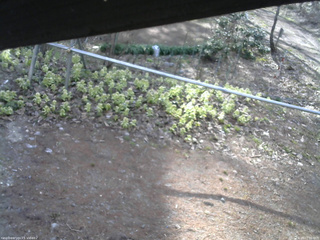 長野県菅平高原 ゆたか山荘 駐車場 2026/04/18 07:00