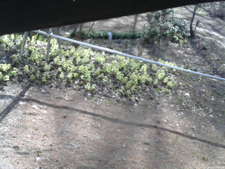 長野県菅平高原 ゆたか山荘 駐車場 2026/04/18 07:30