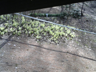 長野県菅平高原 ゆたか山荘 駐車場 2026/04/18 07:45