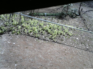 長野県菅平高原 ゆたか山荘 駐車場 2026/04/18 09:15