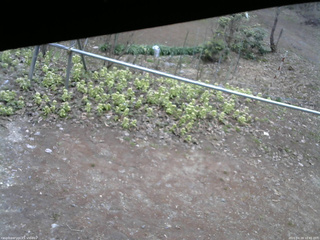 長野県菅平高原 ゆたか山荘 駐車場 2026/04/18 10:45