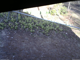 長野県菅平高原 ゆたか山荘 駐車場 2026/04/18 16:15