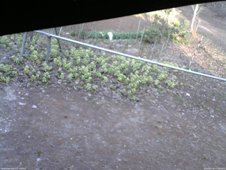 長野県菅平高原 ゆたか山荘 駐車場 2026/04/18 17:00