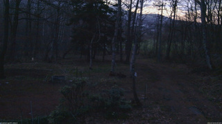 長野県菅平高原 ゆたか山荘 坂上 2026/04/18 05:00