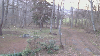 長野県菅平高原 ゆたか山荘 坂上 2026/04/18 05:15