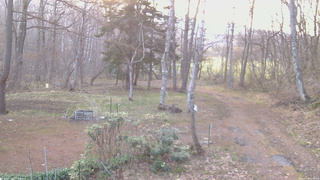 長野県菅平高原 ゆたか山荘 坂上 2026/04/18 05:45