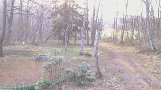 長野県菅平高原 ゆたか山荘 坂上 2026/04/18 06:00
