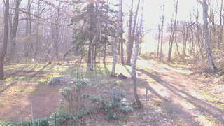 長野県菅平高原 ゆたか山荘 坂上 2026/04/18 06:15