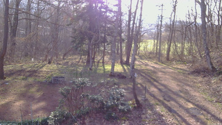 長野県菅平高原 ゆたか山荘 坂上 2026/04/18 06:30