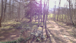 長野県菅平高原 ゆたか山荘 坂上 2026/04/18 07:15